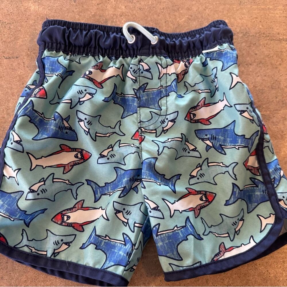 5 Pack! Toddler Boys Colorful Swim Shorts Set Size 3T - Picture 3 of 14
